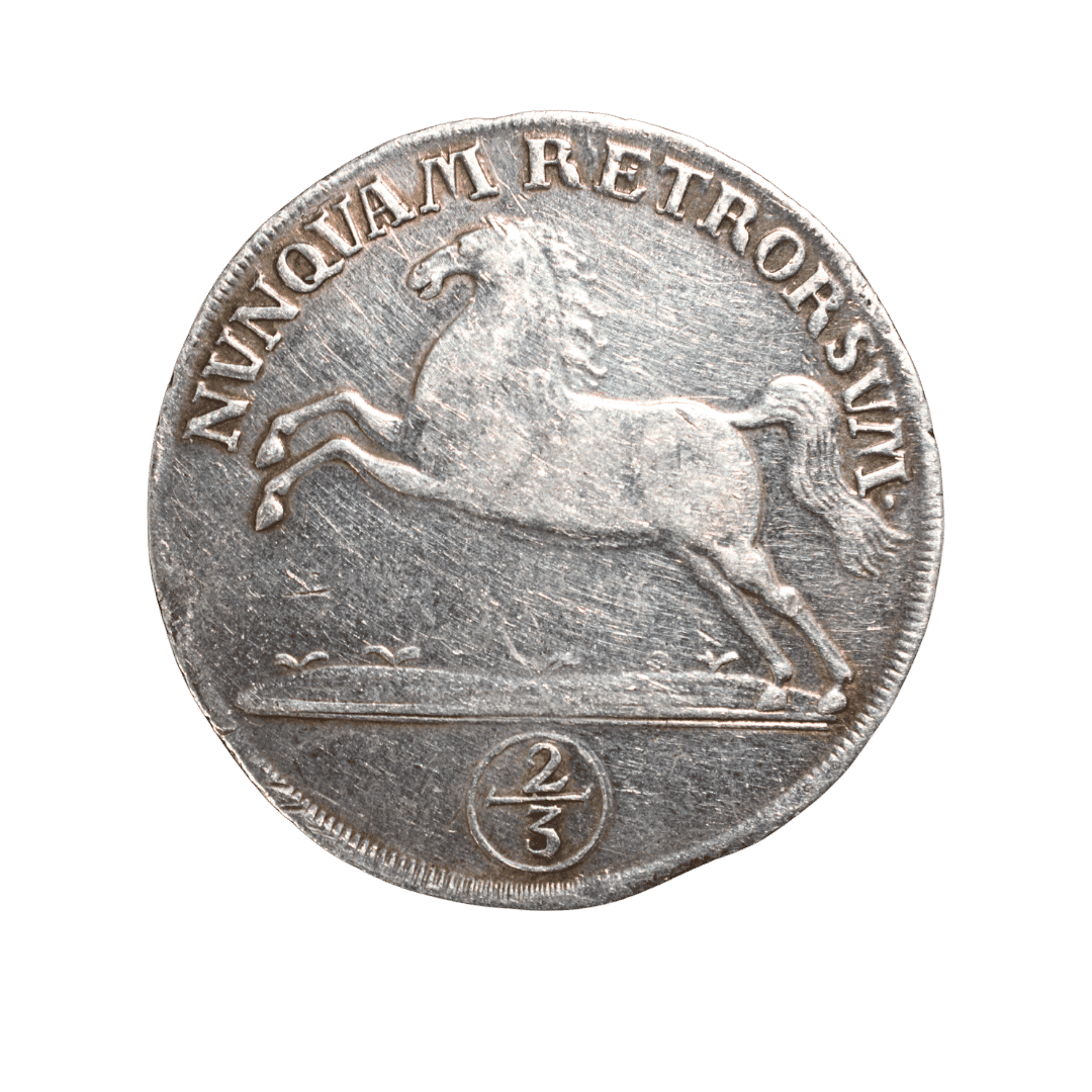 24 марієнгрошени (⅔ талера) 1762 IBH — Князівство Брауншвейг-Вольфенбюттель — фото 2